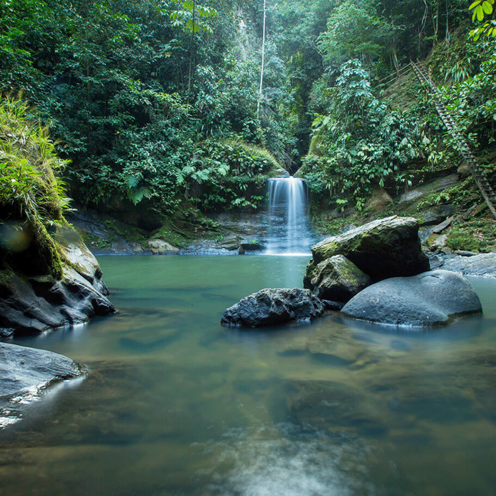 Cascada pishurayacu - tarapoto peru - 1x1 - 01