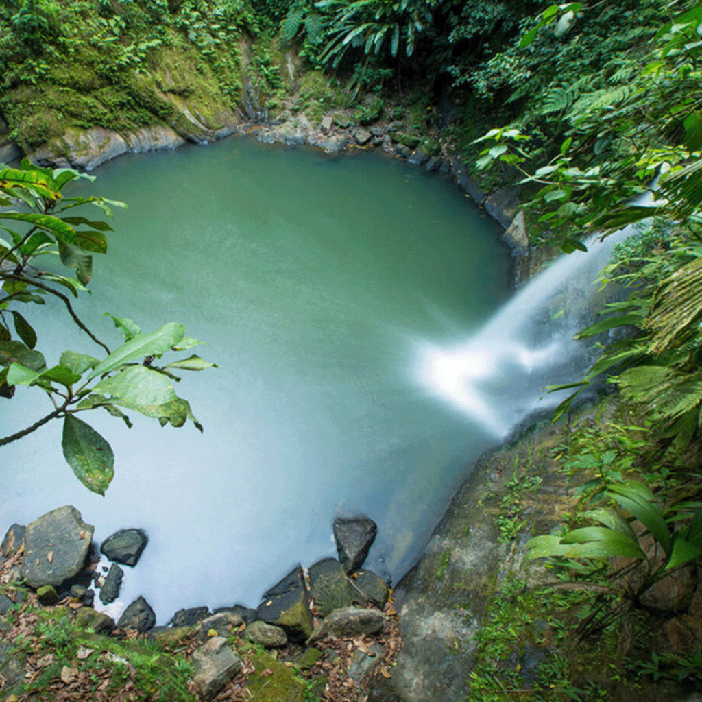 Cascada pishurayacu - tarapoto peru - 1x1 - 02