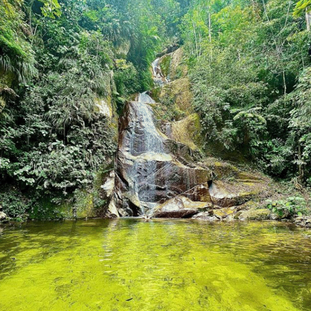 Catarata de Pucayaquillo - tarapoto perú - 1x1 - 02